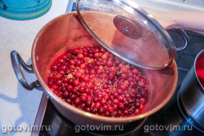 Желе з аґрусу з агар-агаром на зиму